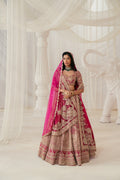 Rani Lehenga Set