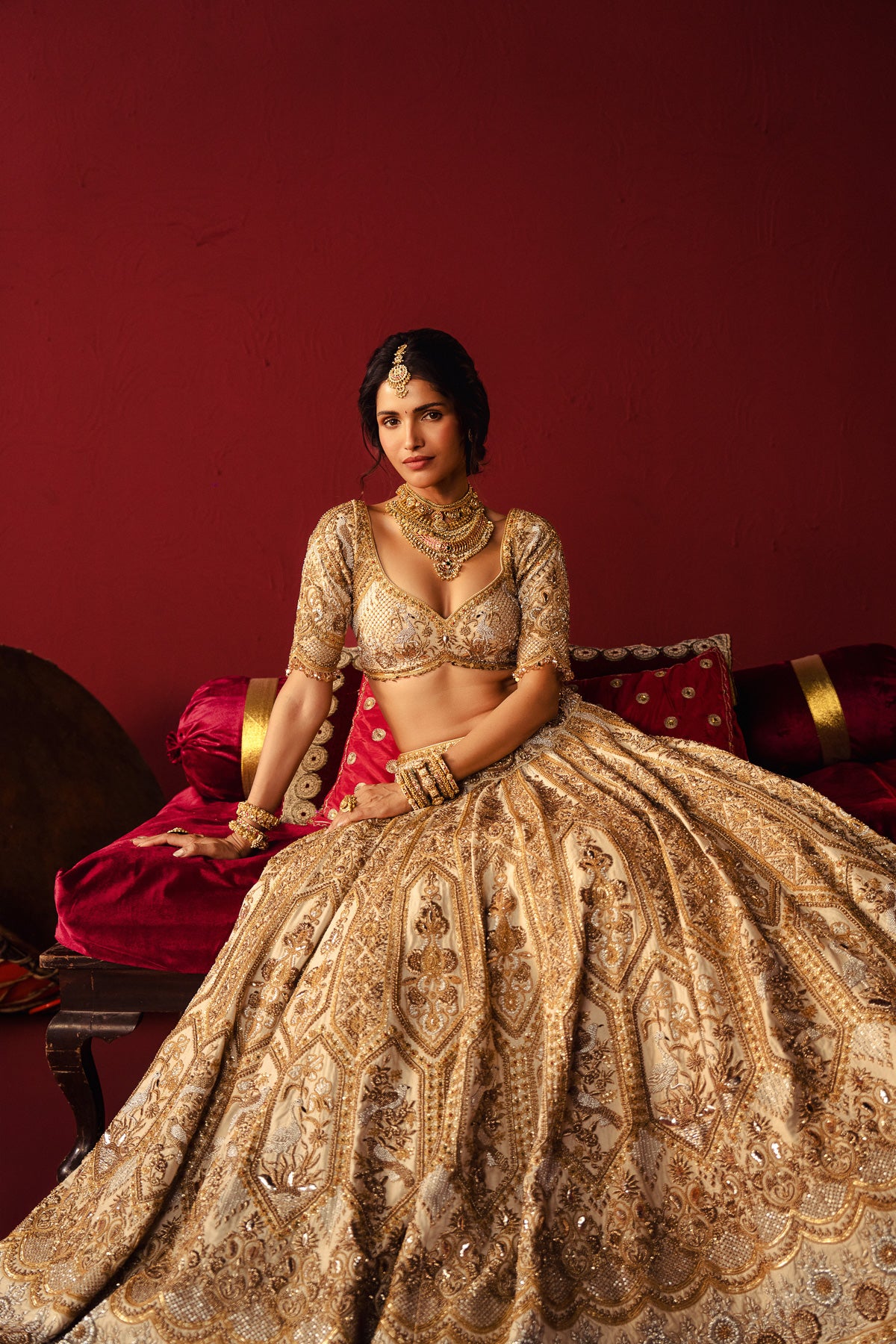 Vaidehi Lehenga Set