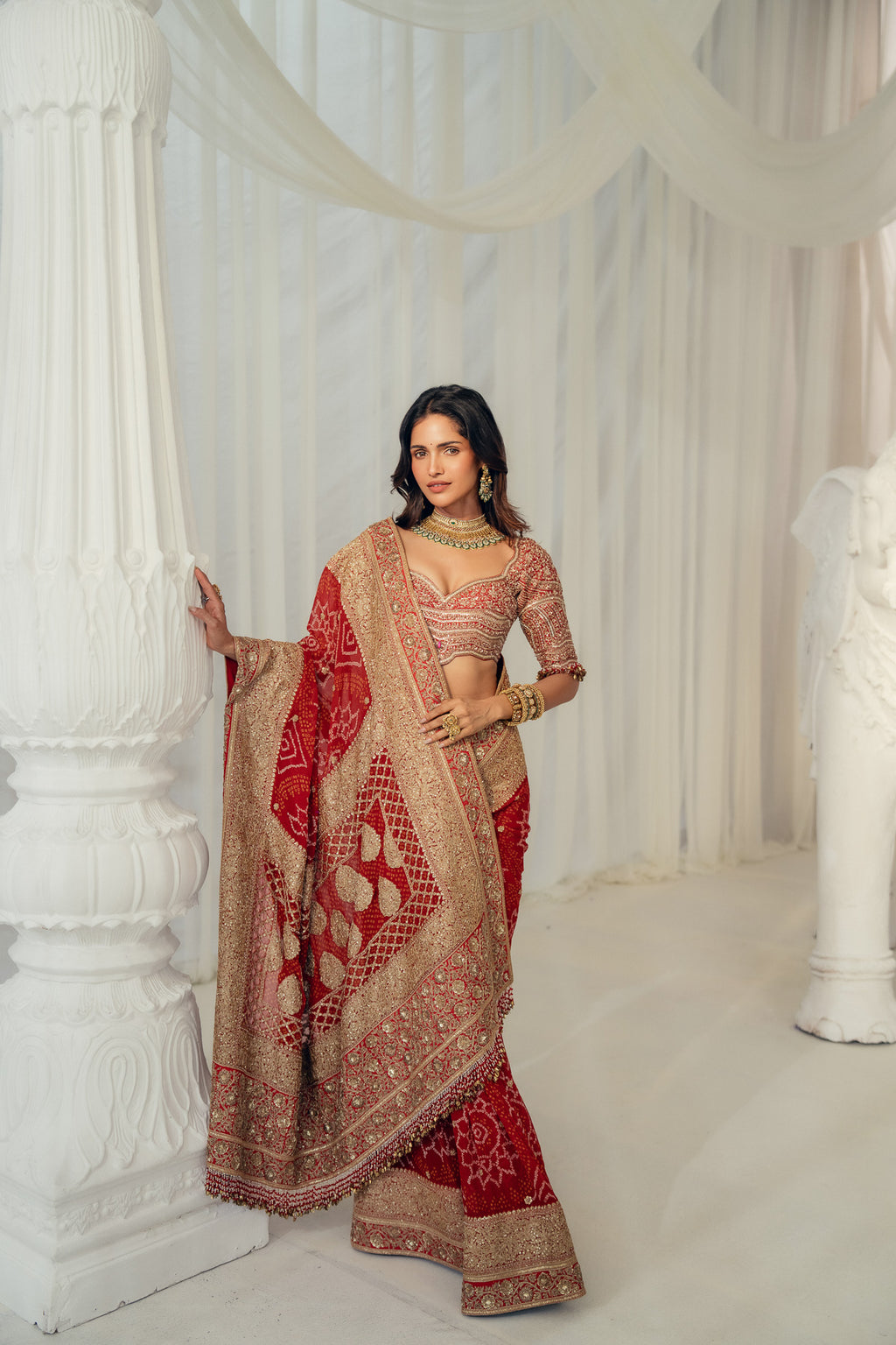 Gulnaar  Saree